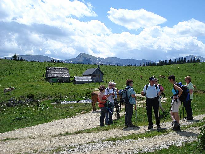 25 Kuhalm Hintergrund Hohe Weichsel und rechts der Ringkamp